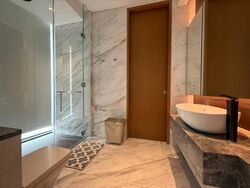 111 Emerald Hill (D9), Apartment #529210621
